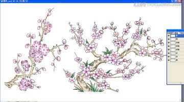 梅花