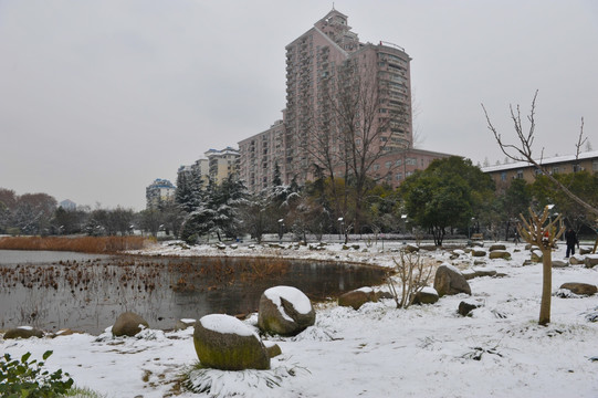 解放公园雪景