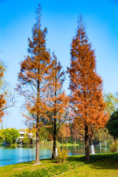 閔行體育公園
