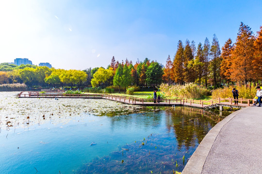 闵行体育公园湖滨景观