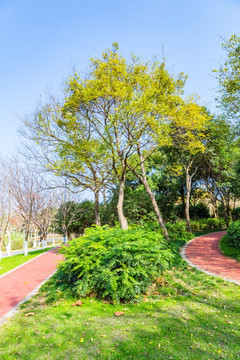 闵行体育公园健身步道
