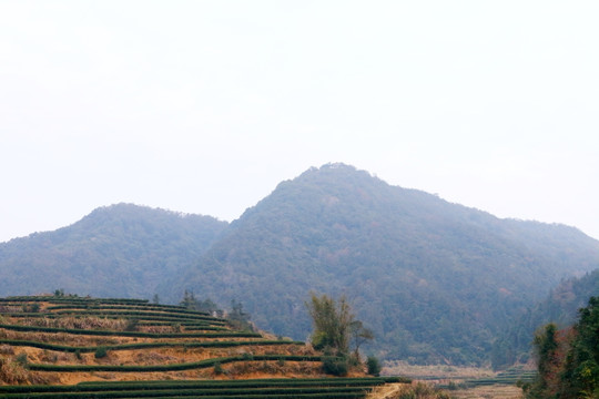 长龙的山