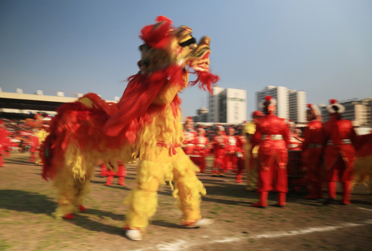 舞龙 民间艺术