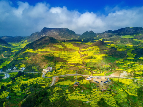 云南罗平县牛街山上油菜花