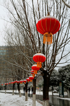 雪景