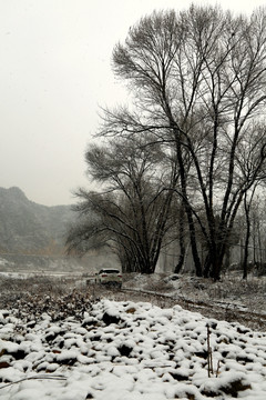 雪景