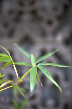 竹叶石窗花岭南景观建筑文化传承