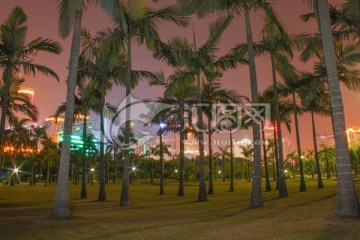 深圳公园夜景