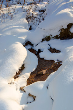 雪景