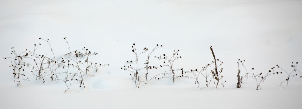 雪景