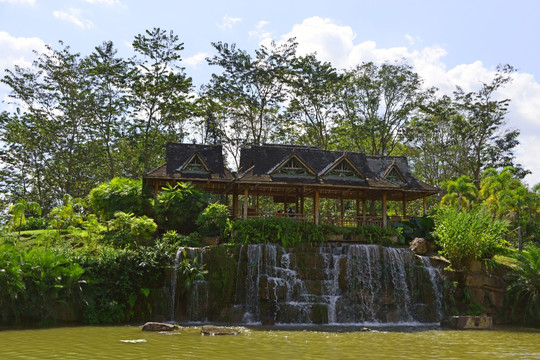 西双版纳热带植物园 水生植物园