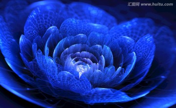 花朵