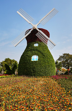 郁金香花海园艺风车景观