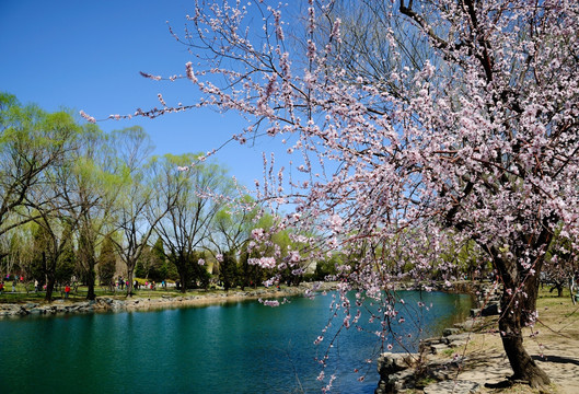 一湖双岸色