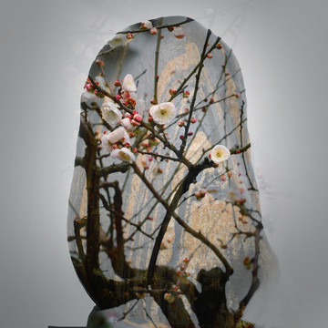 無框畫 梅花
