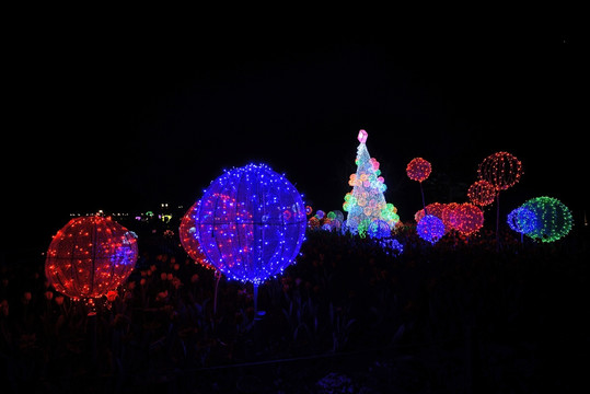 兰溪市中洲公园夜景 霓虹灯彩灯