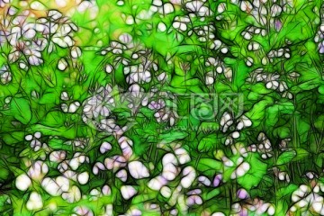 抽象花卉