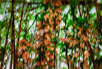花卉油畫