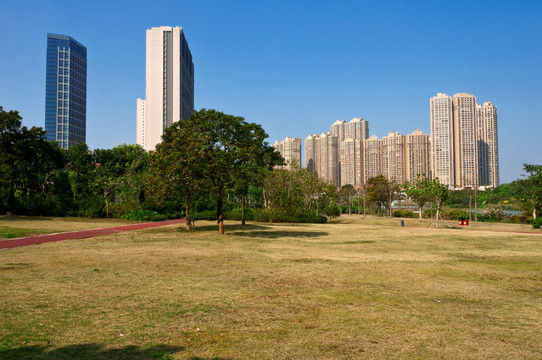 城市草地边高楼