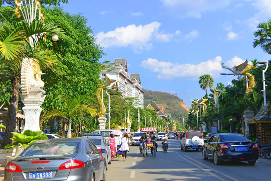 告庄西双景街景 傣族孔雀路灯