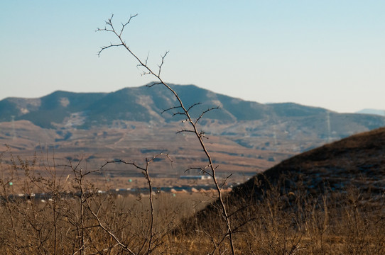 隐居山林