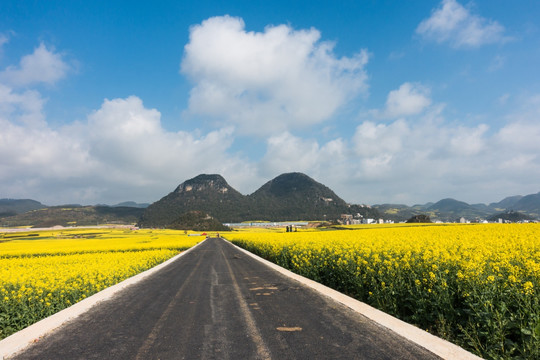 金鸡峰远眺