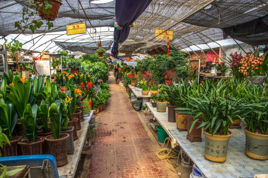 鲜花店花卉市场