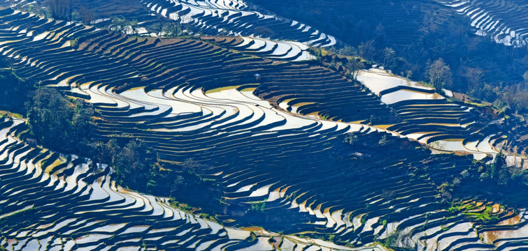 元阳梯田 高清全景图