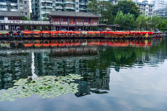 荔枝湾景观