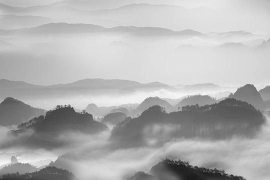 茶山 水墨山川