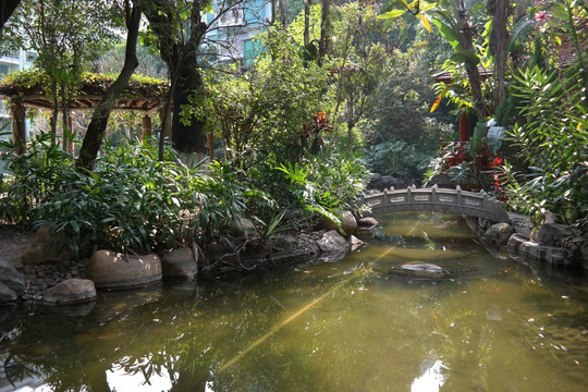 大理石小桥流水风景