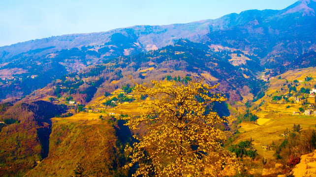 山村 大山