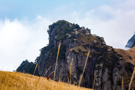 武功山高山草甸