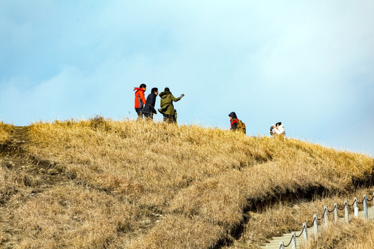 武功山高山草甸