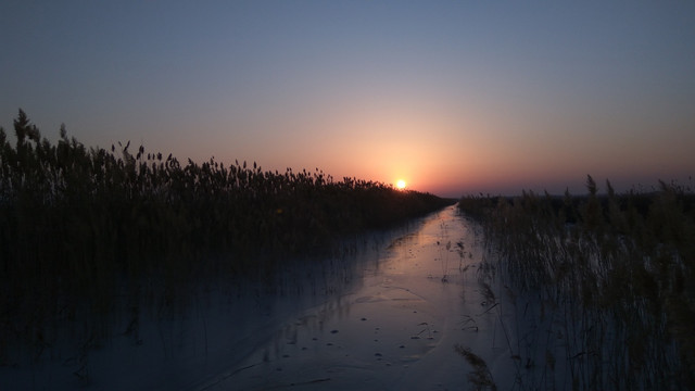 芦苇丛中的夕阳，夕阳美景