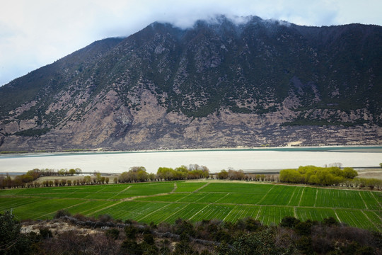 西藏高原风景