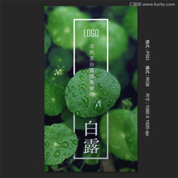 白露銅錢草海報(bào)