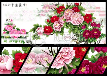 牡丹 花開富貴