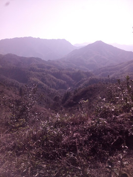 苍茫大山