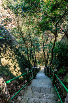 下山路 山路 树林 下山 小路