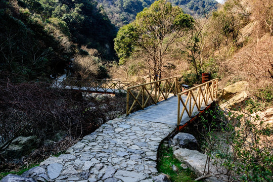 山涧小路 森林山路 山峰山脉