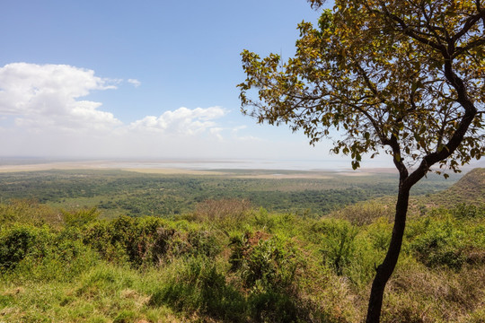 坦桑尼亚国家公园 东非大裂谷