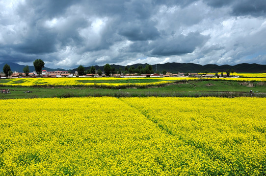 大美乡村