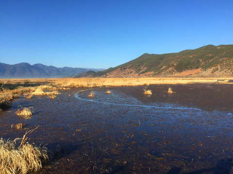 云南滇池泸沽湖草海