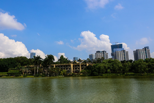 城市湖水风景