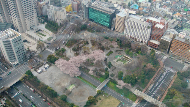 日本东京风光