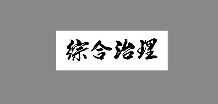 綜合治理