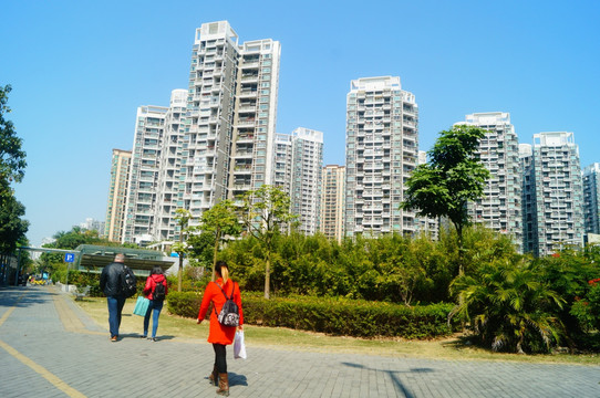 深圳道路及建筑景观