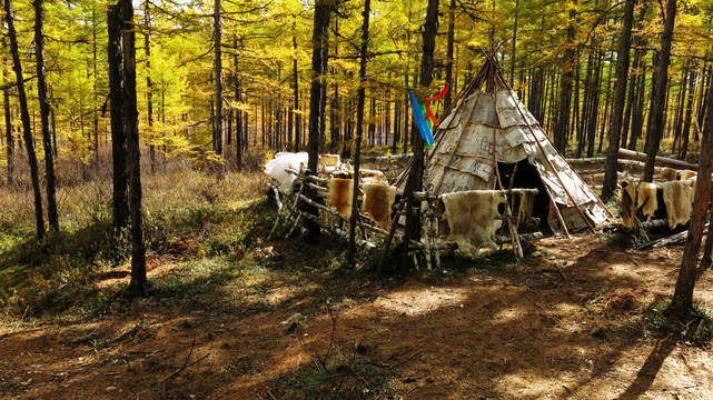 秋季森林帐篷