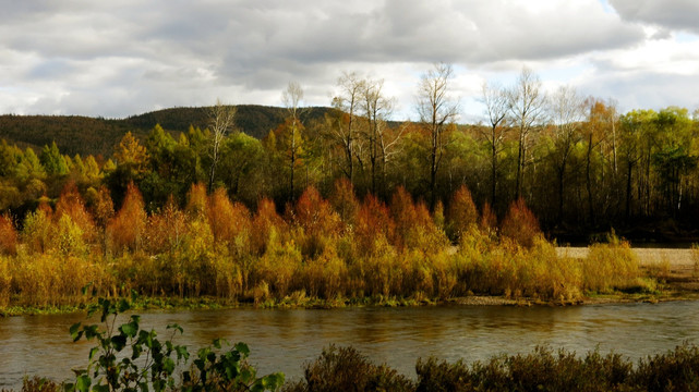 秋季的河流根河